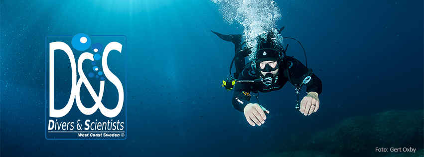Divers & Scientists