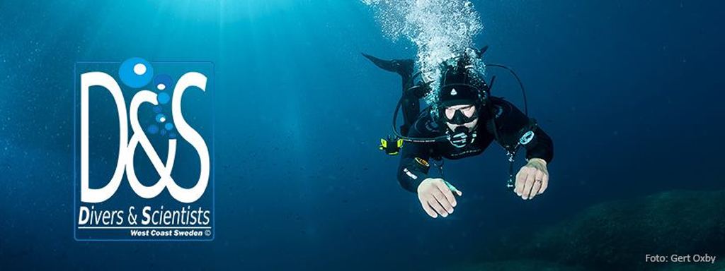 Diver from Divers & Scientists Photo by Gert Oxby