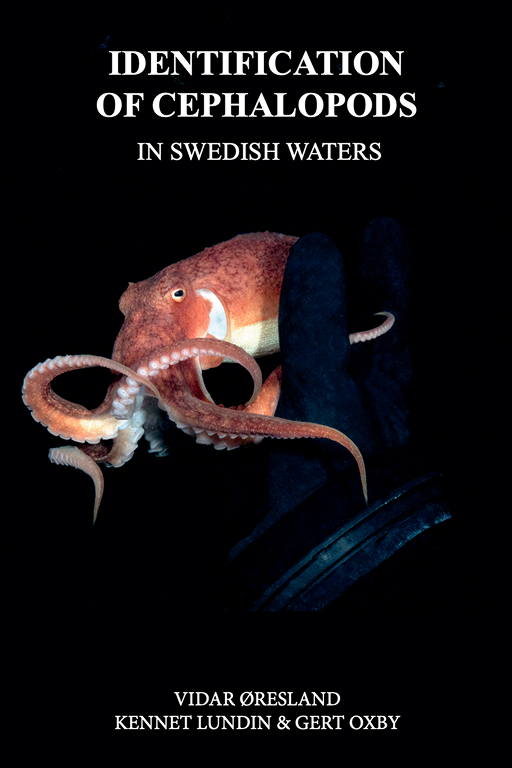 Identification of Cephalopods in Swedish Waters Book Cover